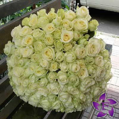 Buy 101 roses 101 white roses photo