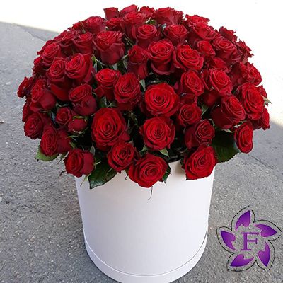 101 roses in a box Order 101 roses