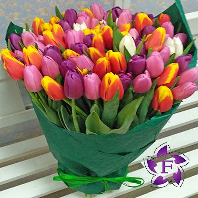  Купить 101 тюльпан