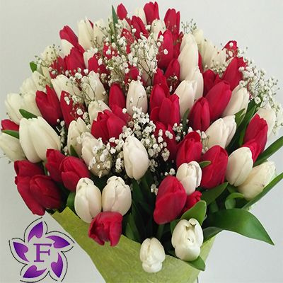 Заказать 101 тюльпан