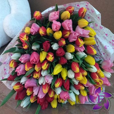 101 разноцветный тюльпан