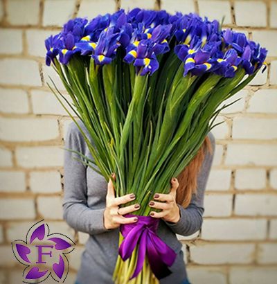 101 iris with delivery in Odessa Order a large bouquet