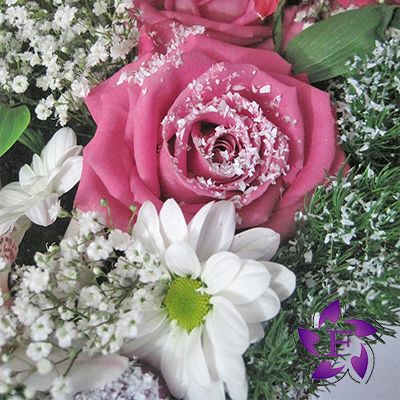 Цветы к Новому году заказать