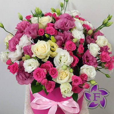 Цветы в коробках фото