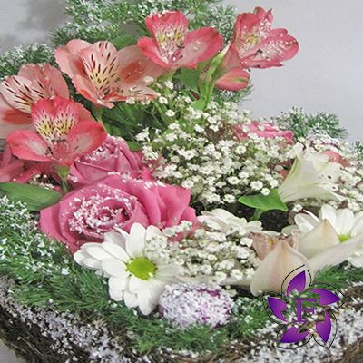  Buy Christmas composition