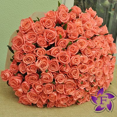 Огромный букет роз