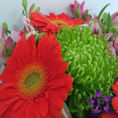 Bouquet of autumn flowers   Autumn flowers