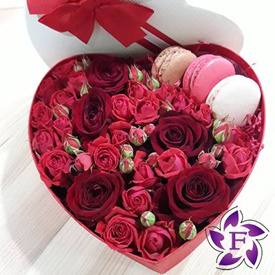 Roses and Macarons Odessa