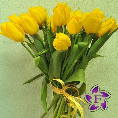 Купить тюльпаны