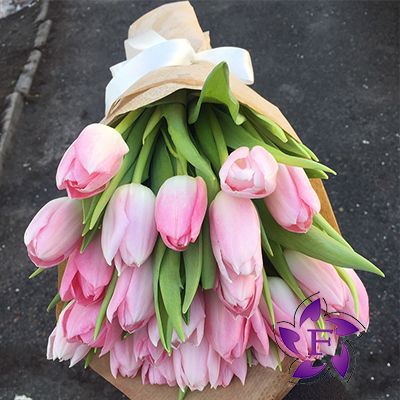 Розовые тюльпаны купить