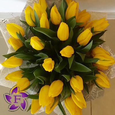 A bouquet of tulips in a box  Order tulips in a box