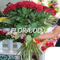 101 красная роза 50 см - Фото 1