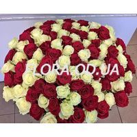 101 роза красная и белая - Фото 1