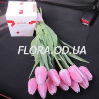 11 тюльпанов и Raffaello - Фото 1