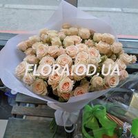 21 spray peony roses - Photo 1