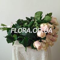 23 розы в букете - Фото 1