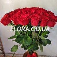 25 импортных роз - Фото 1