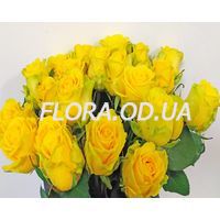Букет 21 желтая роза - Фото 1