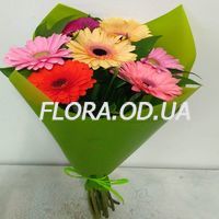 Букет 7 разноцветных гербер - Фото 1