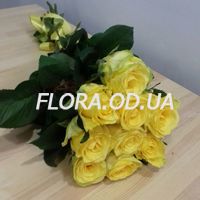 Bouquet of 9 yellow roses - Photo 1