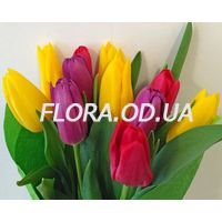 Букет из 11 разноцветных тюльпанов - Фото 3