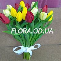 Букет из 15 тюльпанов - Фото 1