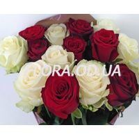 Букет из 17 красных и белых роз - Фото 1