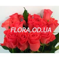 Букет из 17 роз - Фото 3