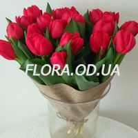 Букет из 19 красных тюльпанов - Фото 2 Букет из 19 красных тюльпанов - Фото 2