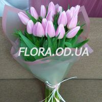 Букет з 19 ніжних тюльпанів - Фото 2 Букет з 19 ніжних тюльпанів - Фото 2