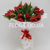 Букет из 21 красного тюльпана - Фото 1