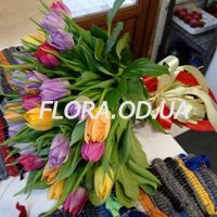 Букет из 31 тюльпана с зеленью - Фото 1