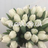 Букет из 35 белых тюльпанов - Фото 1