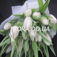 Букет из 35 белых тюльпанов - Фото 3