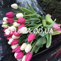 Букет из 51 тюльпана - Фото 1