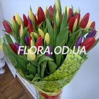 Букет из 55 разноцветных тюльпанов - Фото 2