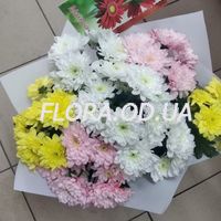 Bouquet of 7 different colored chrysanthemums - Photo 1