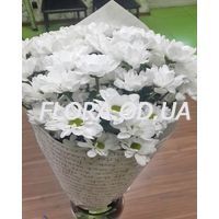 Bouquet of 7 chamomile flowers - Photo 1 Bouquet of 7 chamomile flowers - Photo 1