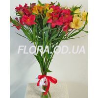 Букет из 9 альстромерий и Шедевр - Фото 1