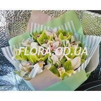 Bouquet of orchids - Photo 1