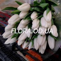 Bouquet of 29 white tulips - Photo 1