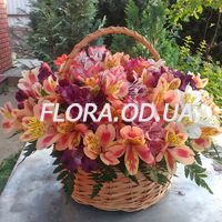 Basket of alstroemerias - Photo 1