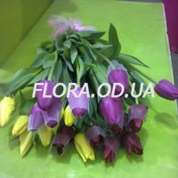 Tulips by the piece - Photo 13