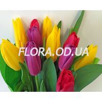 Tulips by the piece - Photo 2