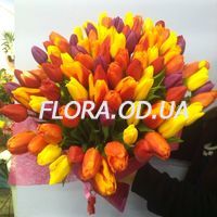 Tulips by the piece - Photo 6