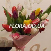 Тюльпаны поштучно - Фото 5