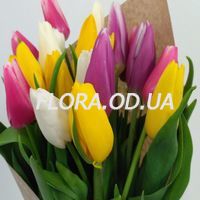 Тюльпаны поштучно - Фото 6