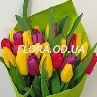 Тюльпаны поштучно - Фото 8
