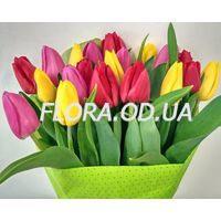 Тюльпаны поштучно - Фото 9
