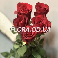 5 красных роз и Raffaello - Фото 1